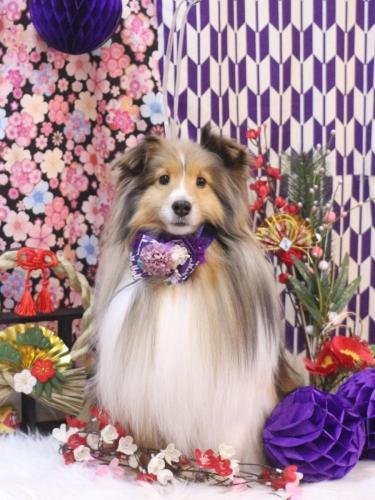 20250121ノアくん